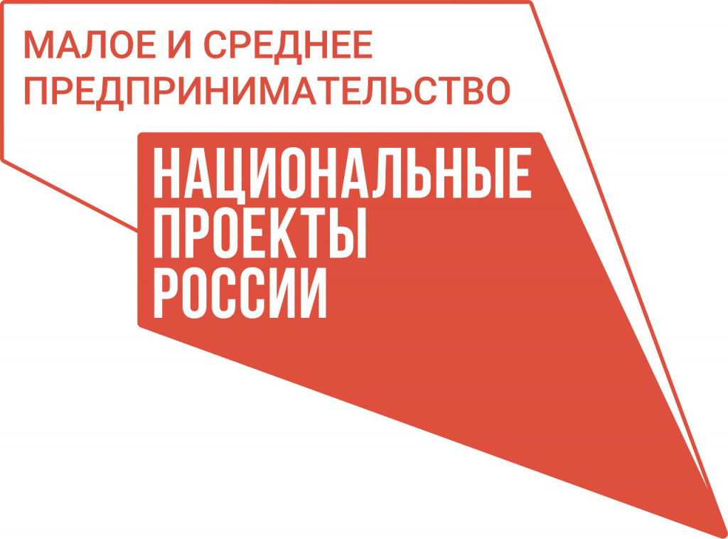 Предприниматели Камчатки могут с помощью господдержки создать сайты для продвижения бизнеса